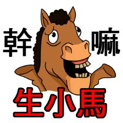 生小馬意思